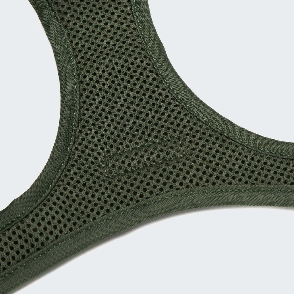 Step-in Harness LTTL Blossoms product image