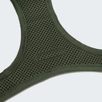 Step-in Harness LTTL Blossoms product image