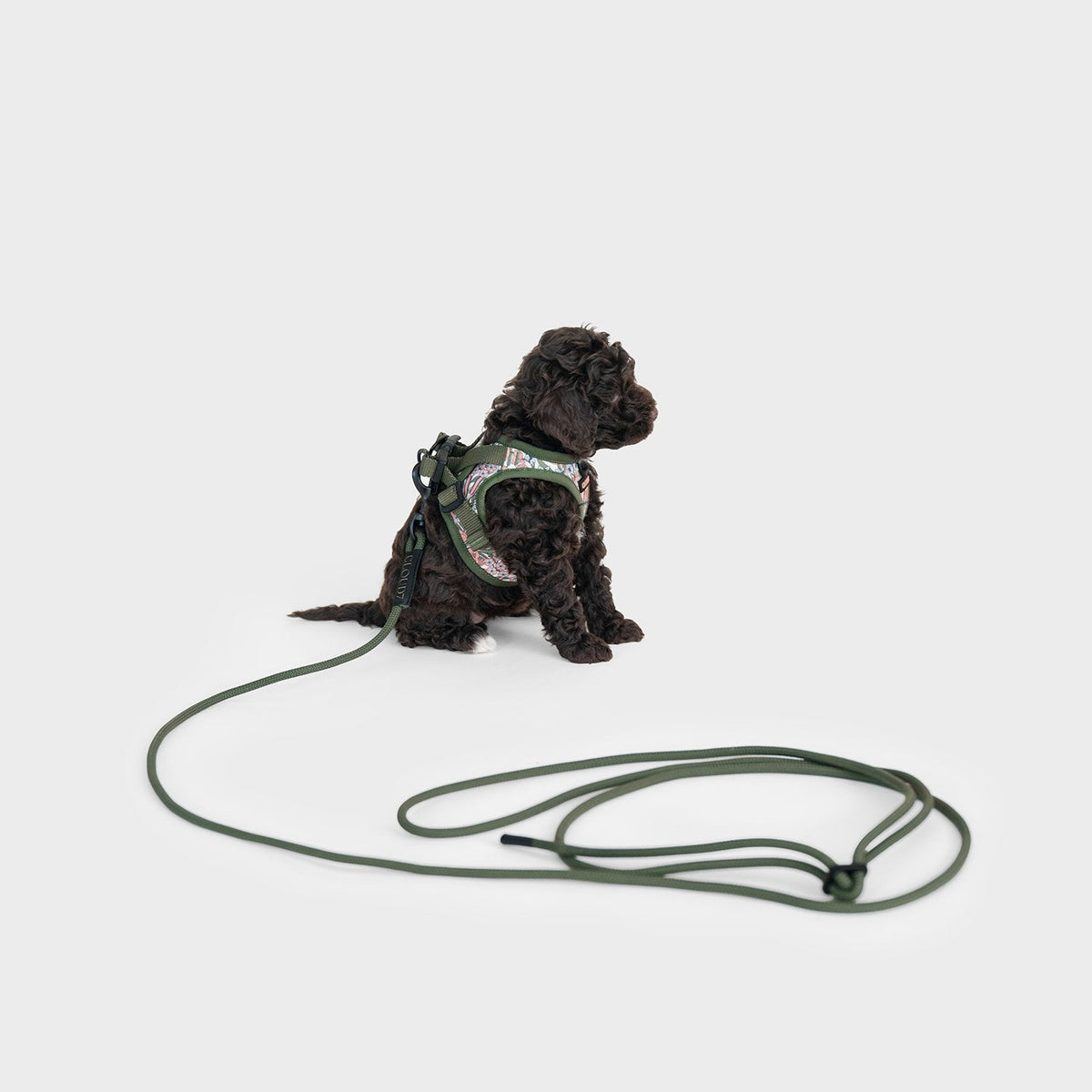 Step-in Harness LTTL Blossoms product image