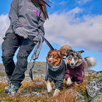 Multilong Leash II product image