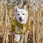 Mudventure Reflective Coat product image