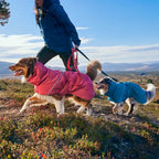 Multilong Leash II product image