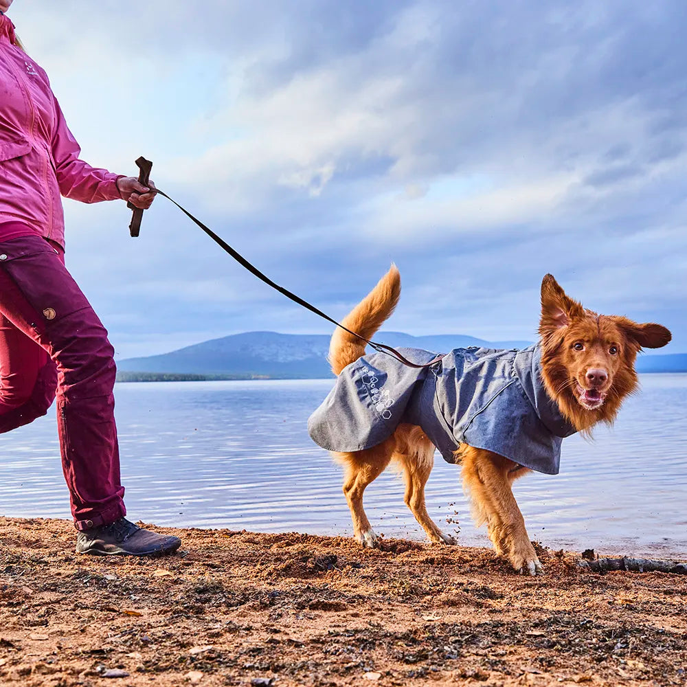 Weekend Warrior Standard Leash product image