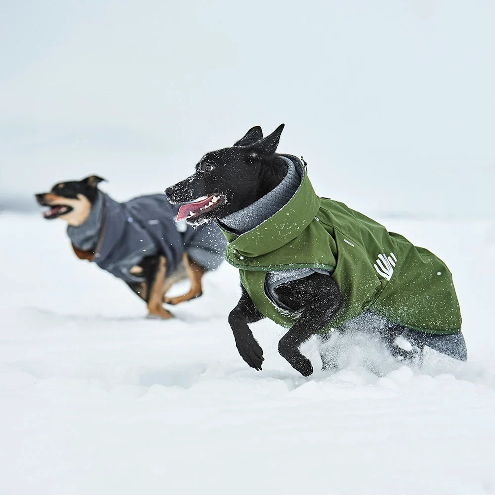 Walk All-Season Jacket product image