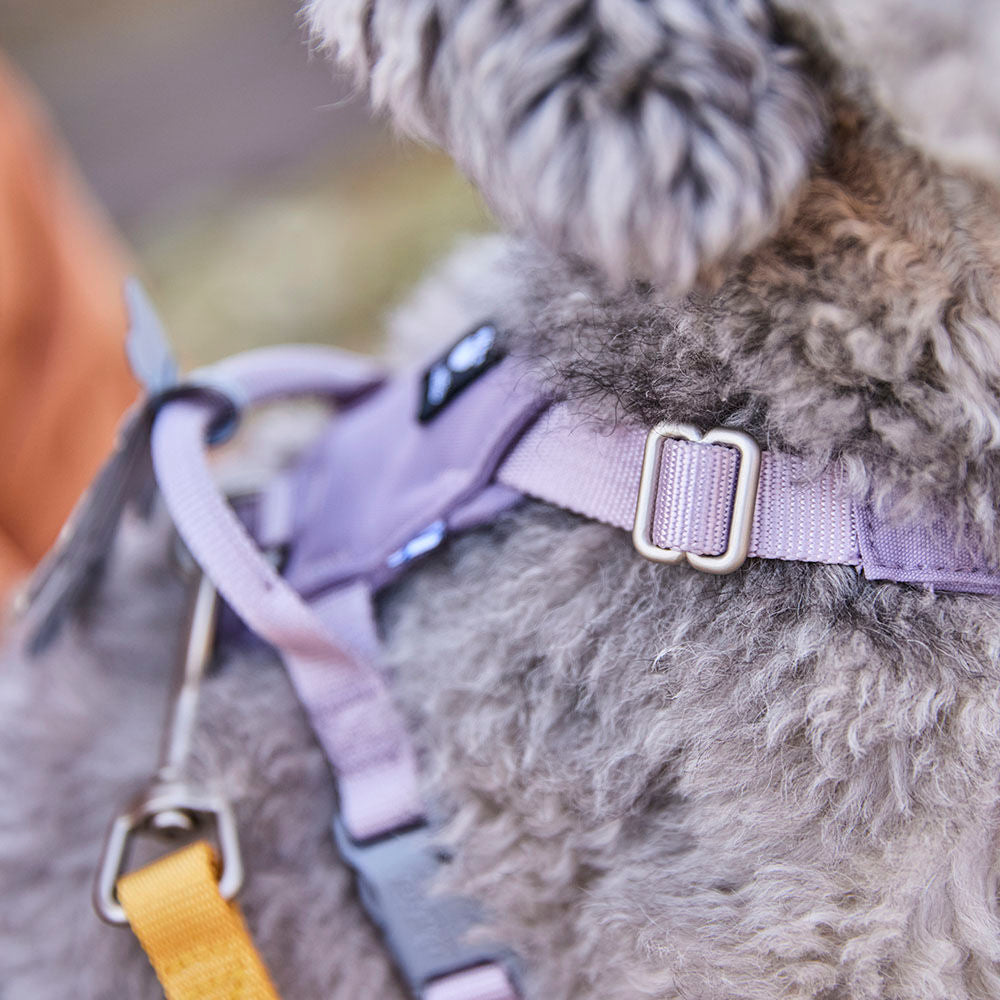 Seeker Harness product image