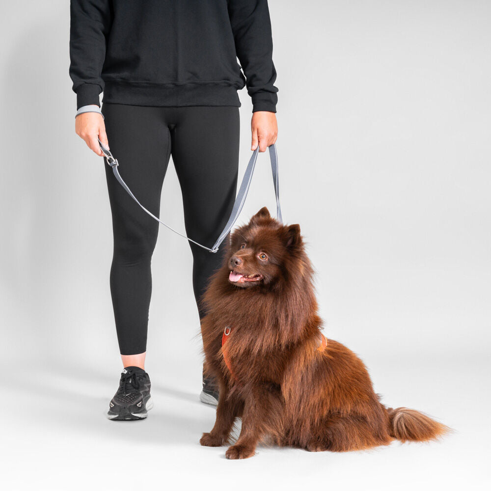 Multilong Leash II product image