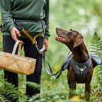 Expedition Belt product image