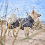 Mudventure Dog Coat ECO product image