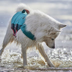 Life Savior ECO Life Vest product image