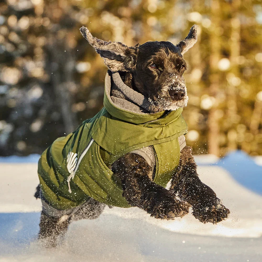 Walk All-Season Jacket product image