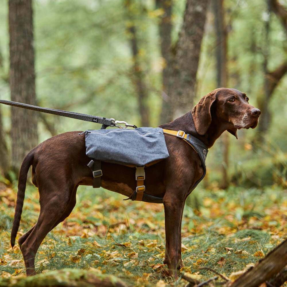 Expedition Pack product image