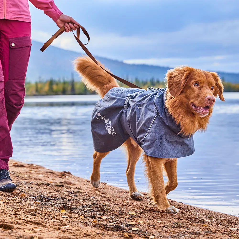 Weekend Warrior Standard Leash product image