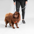Multilong Leash II product image