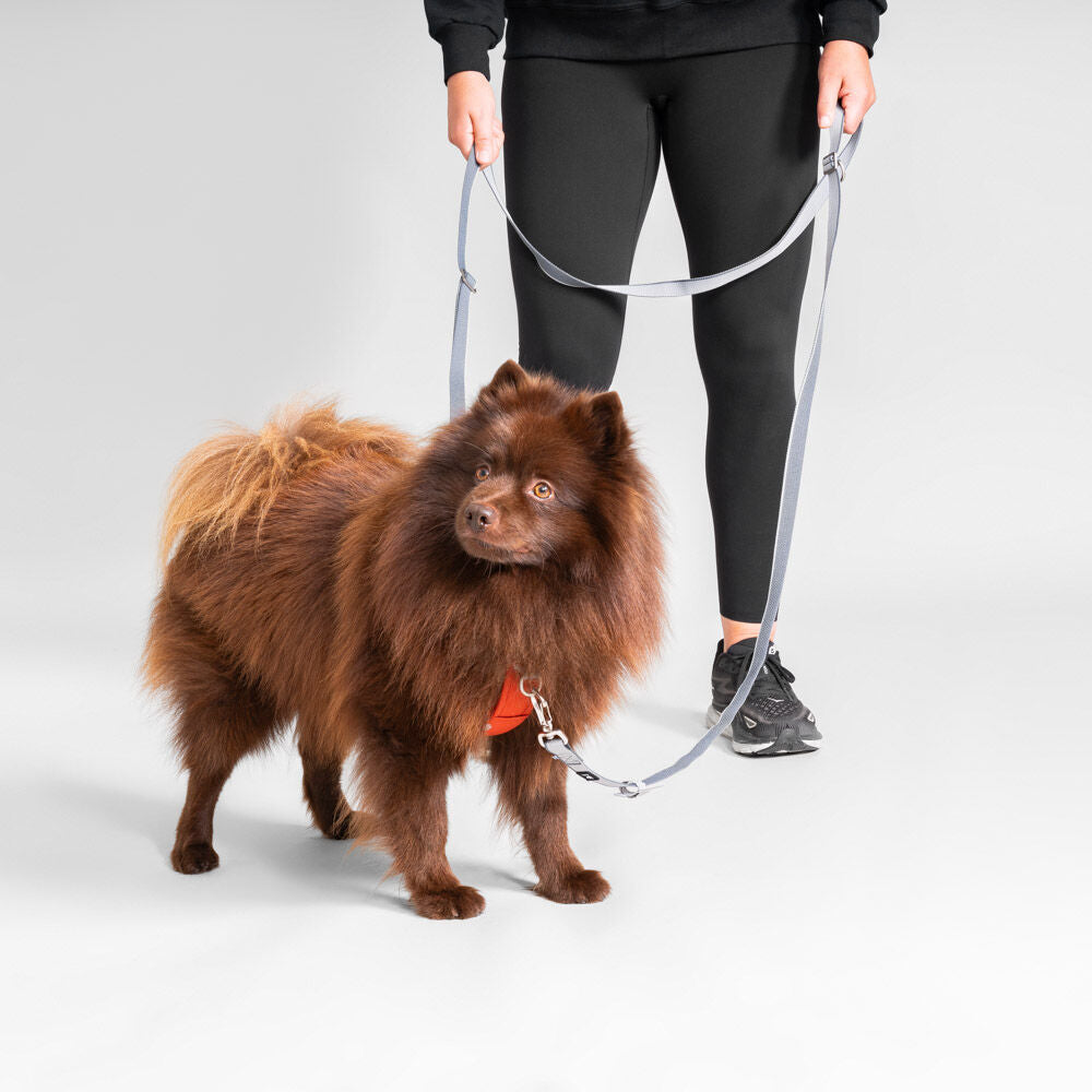 Multilong Leash II product image
