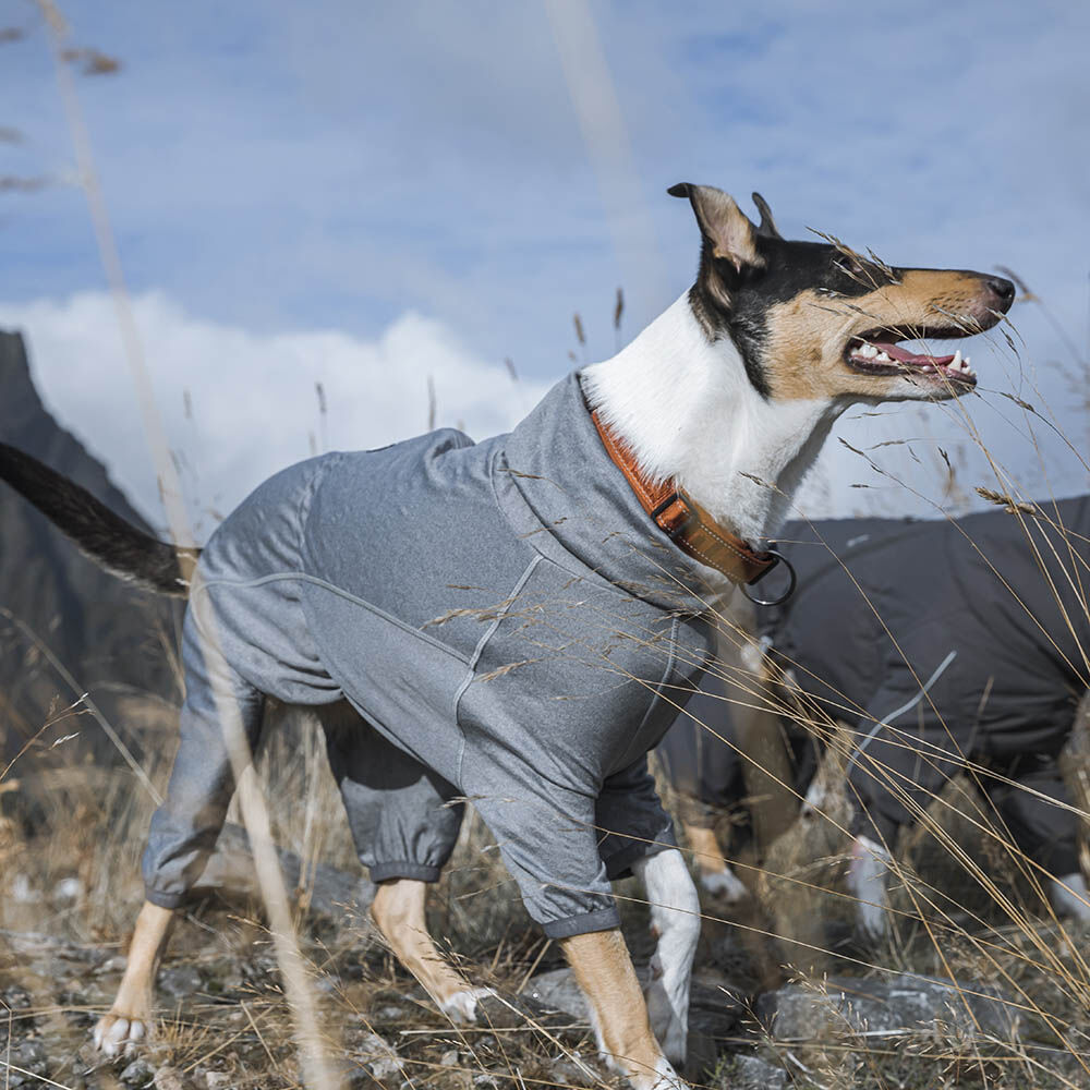 Body Warmer product image