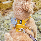 Seeker Harness product image