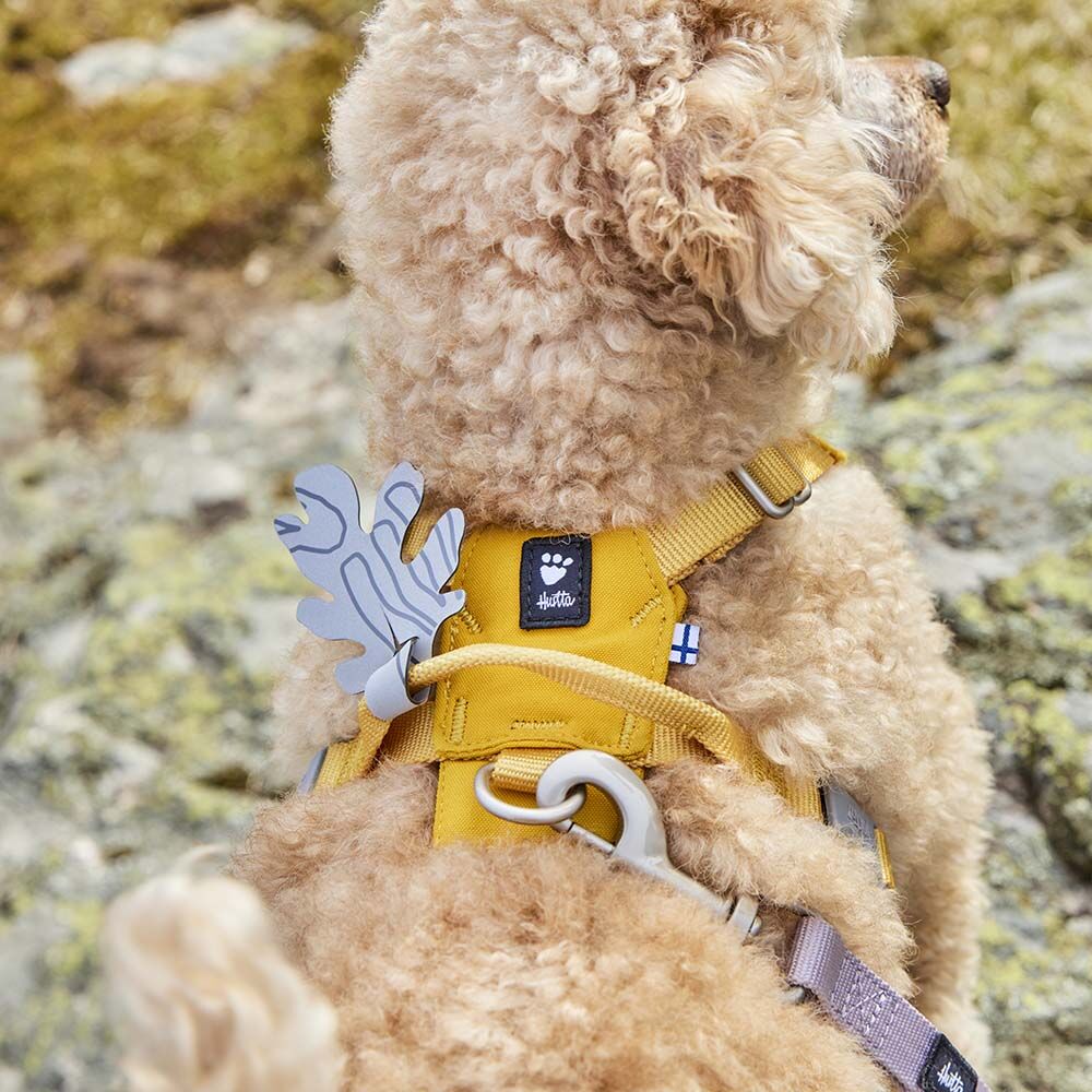 Seeker Harness product image