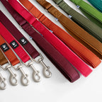 Weekend Warrior Standard Leash product image