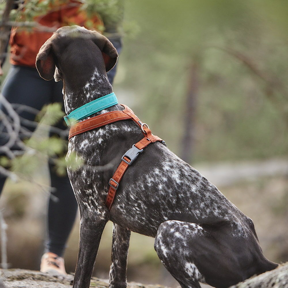 Casual Y-Harness ECO product image
