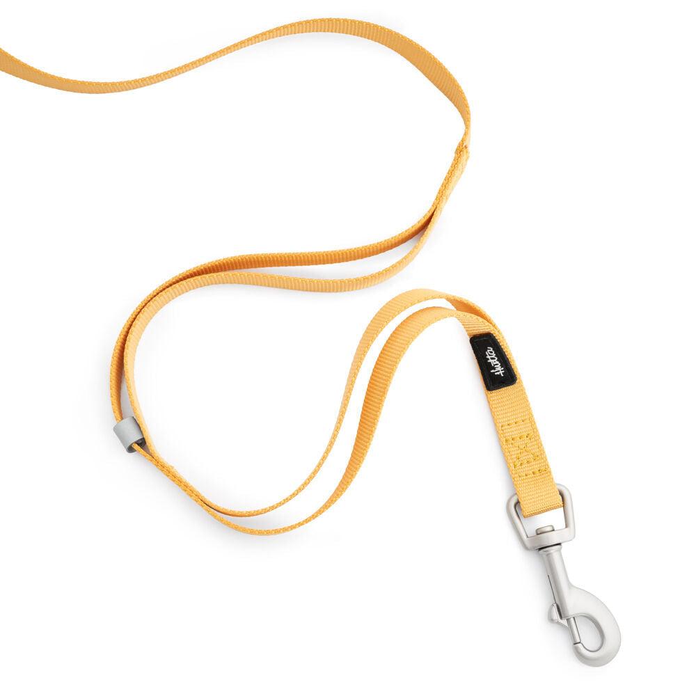 Seeker Standard Leash product image