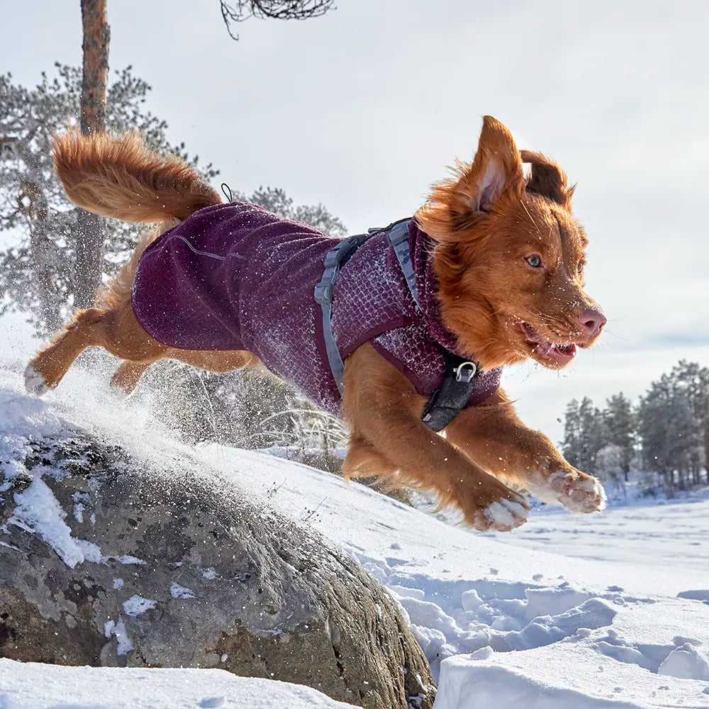 Warming Midlayer ECO Dog Jacket product image