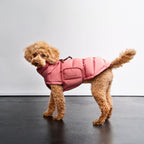 Dog Coat Alaska Faded Rose product image