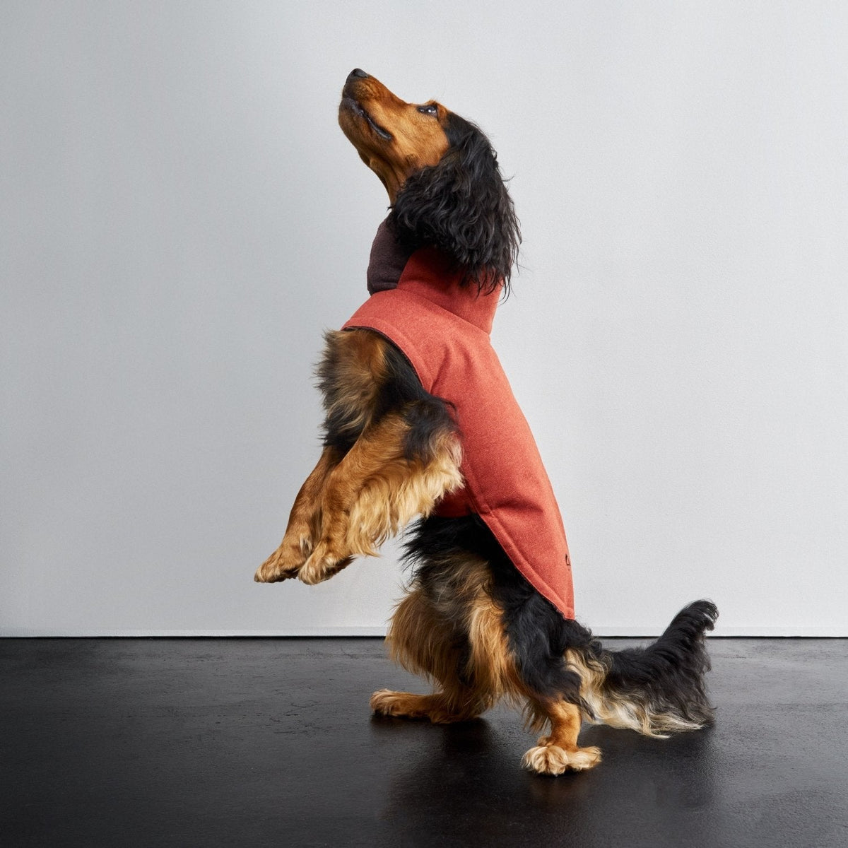 Dog Coat Brooklyn Rust product image