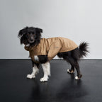 Dog Raincoat Dublin 2.0 Sandy Brown product image