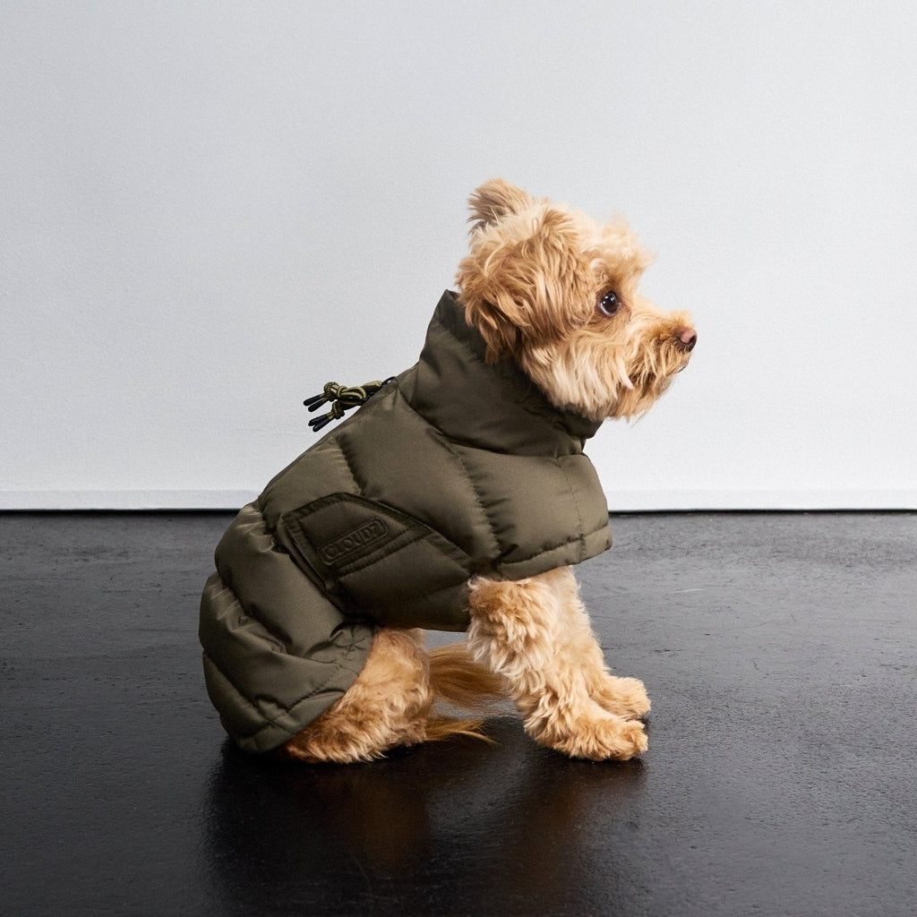 Dog Coat Everest Light Olive product image
