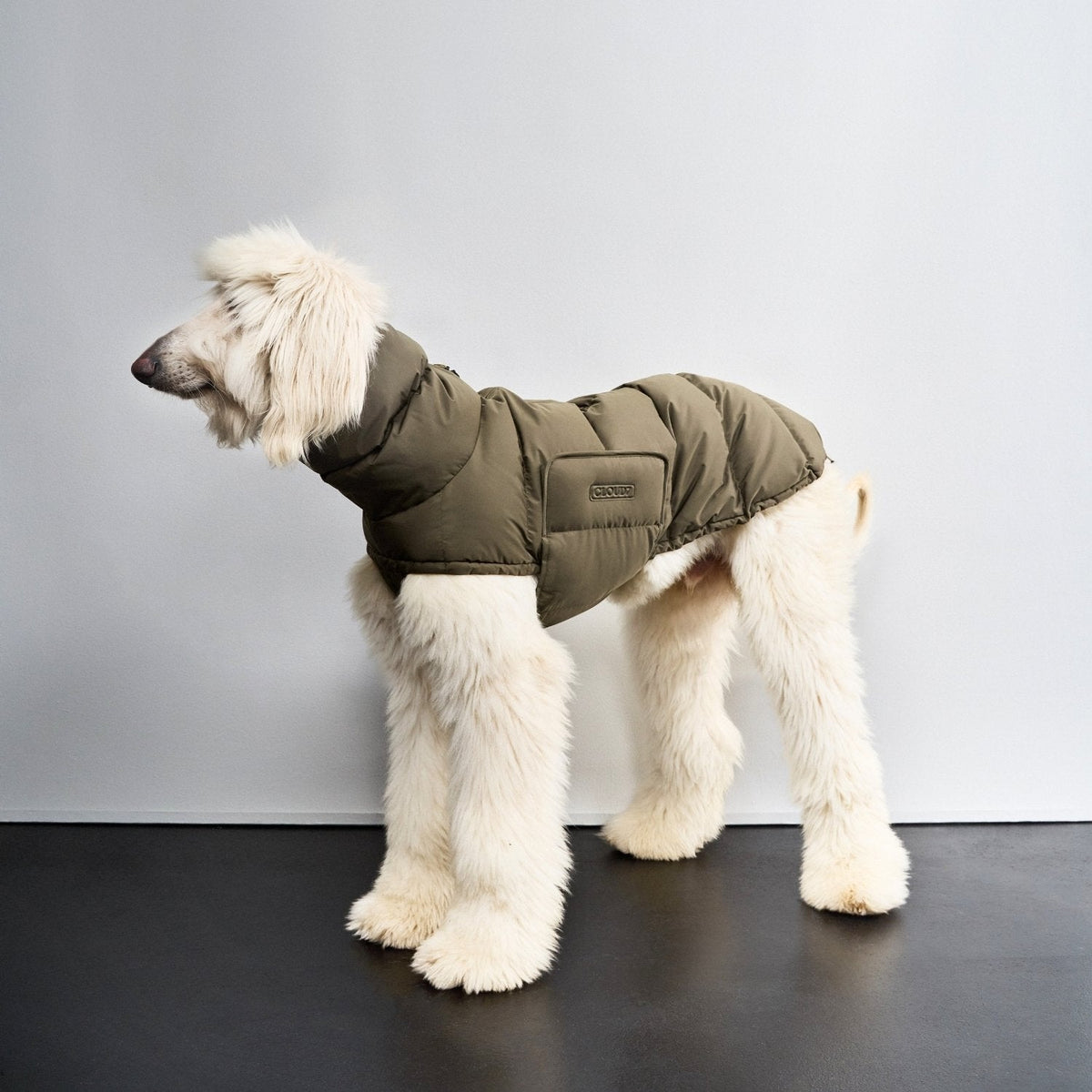 Sighthound Dog Coat Alaska product image