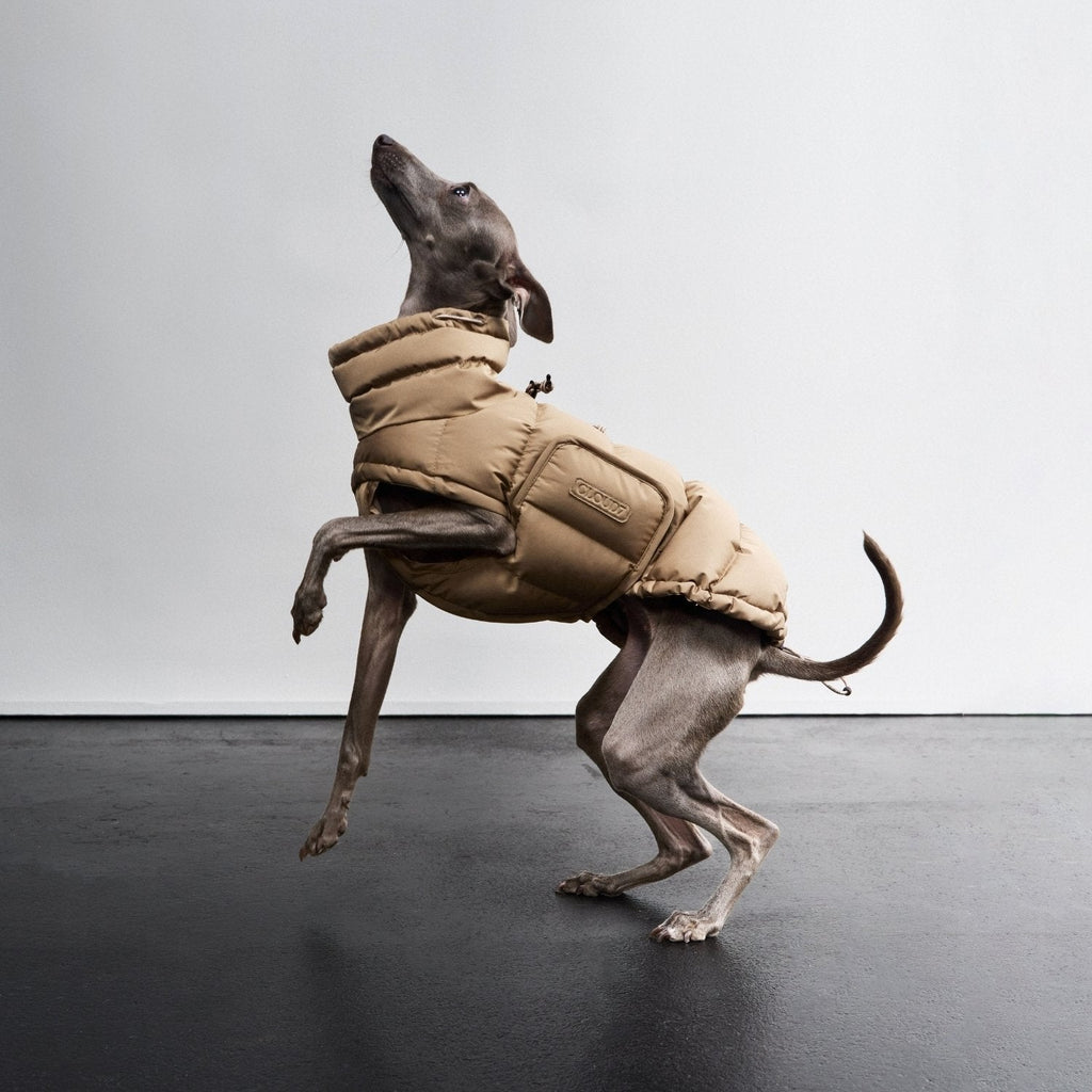 Dog Coat Alaska Sandy Brown product image