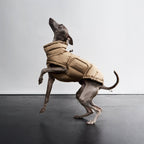 Dog Coat Alaska Sandy Brown product image