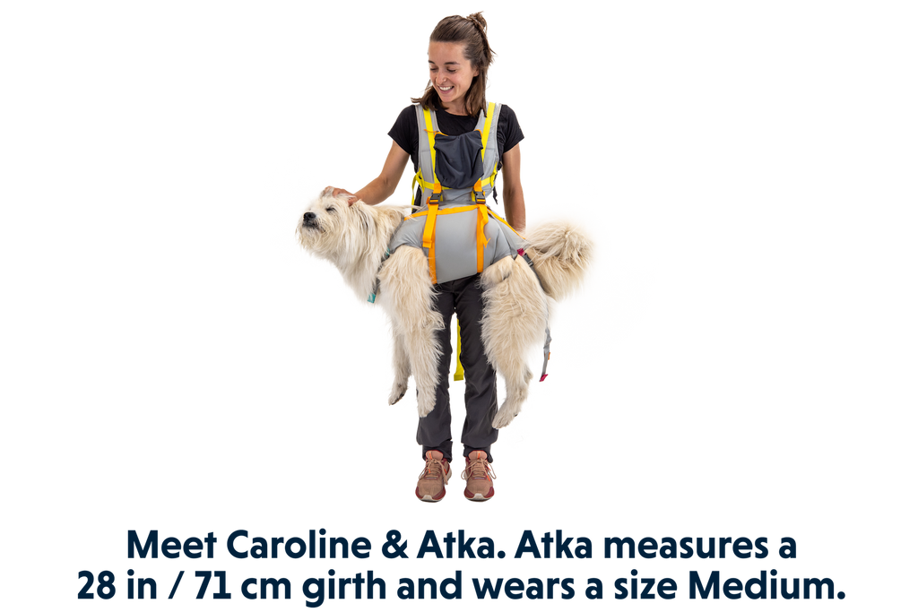 BackTrak™ Dog Evacuation Kit product image