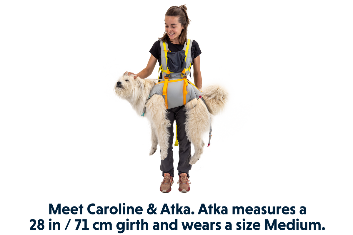 BackTrak™ Dog Evacuation Kit product image