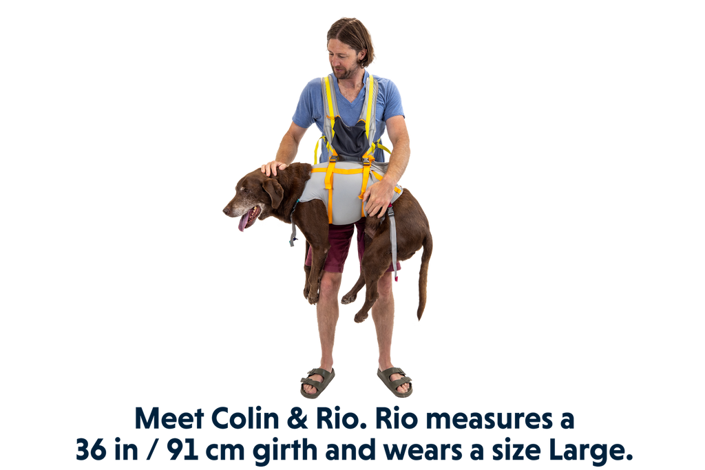 BackTrak™ Dog Evacuation Kit product image