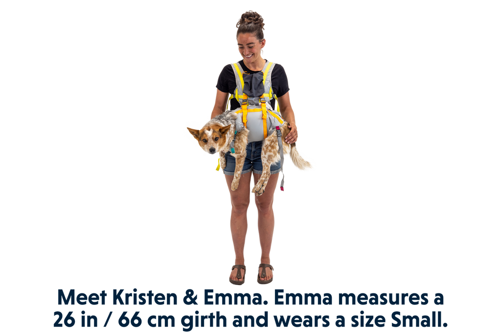 BackTrak™ Dog Evacuation Kit product image