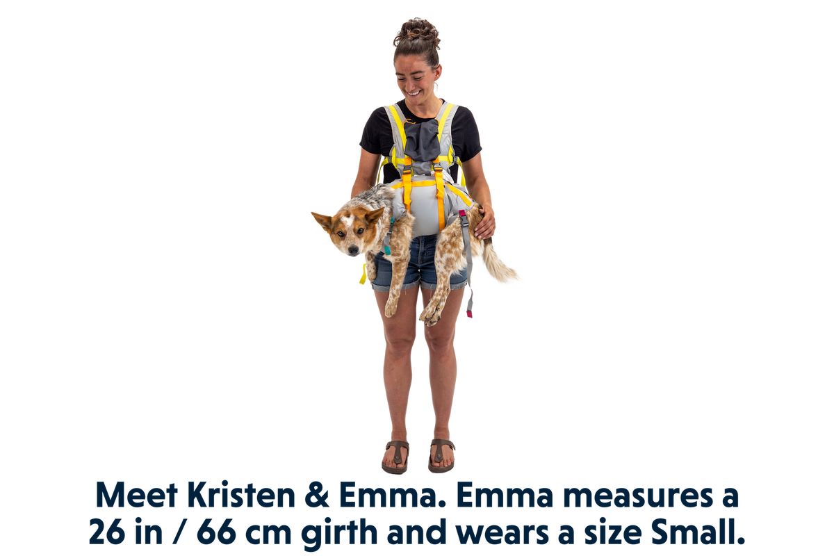 BackTrak™ Dog Evacuation Kit product image