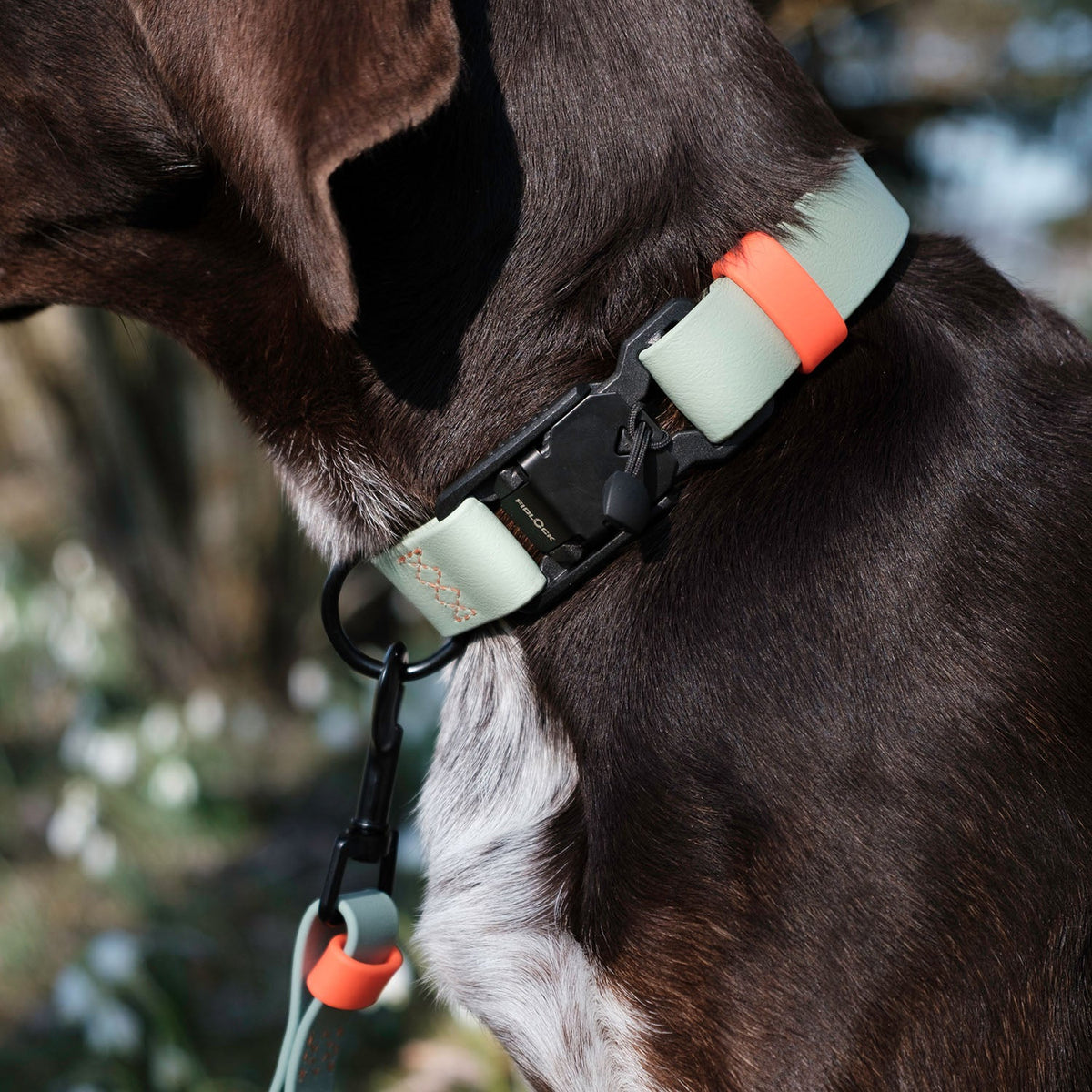 Dog Collar BioThane Ipanema Mint-Neon Orange product image