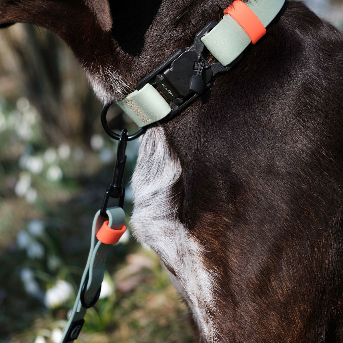 Adjustable Dog Leash  BioThane Ipanema Mint-Neon Orange product image