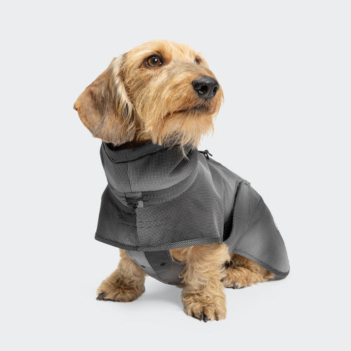 Dachshund Raincoat AKTIV Black product image