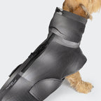 Dachshund Raincoat AKTIV Black product image