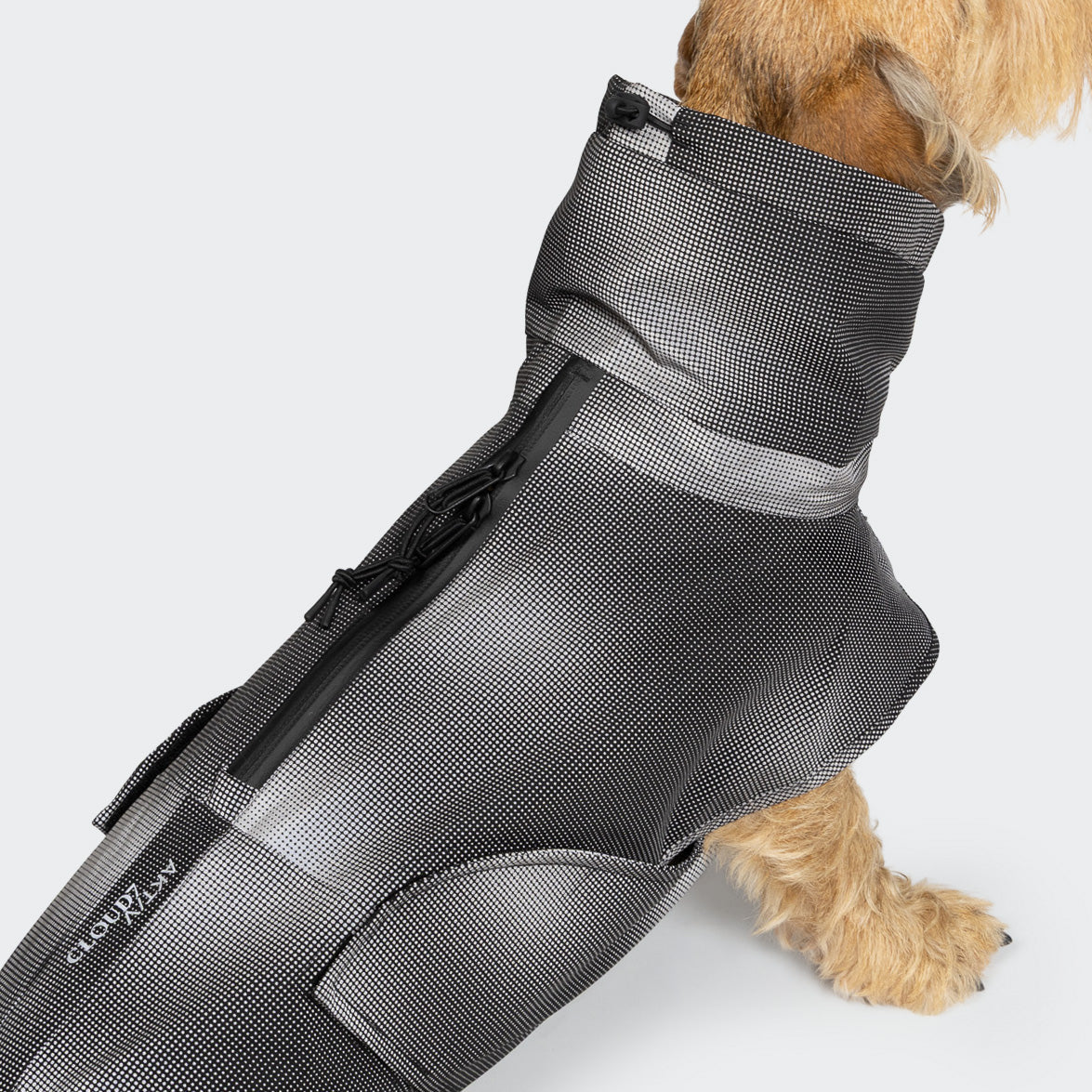 Dachshund Raincoat AKTIV Black product image
