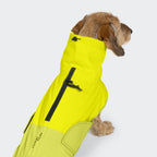Dachshund Raincoat AKTIV Neon Green/Light Olive product image