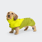 Dachshund Raincoat AKTIV Neon Green/Light Olive product image