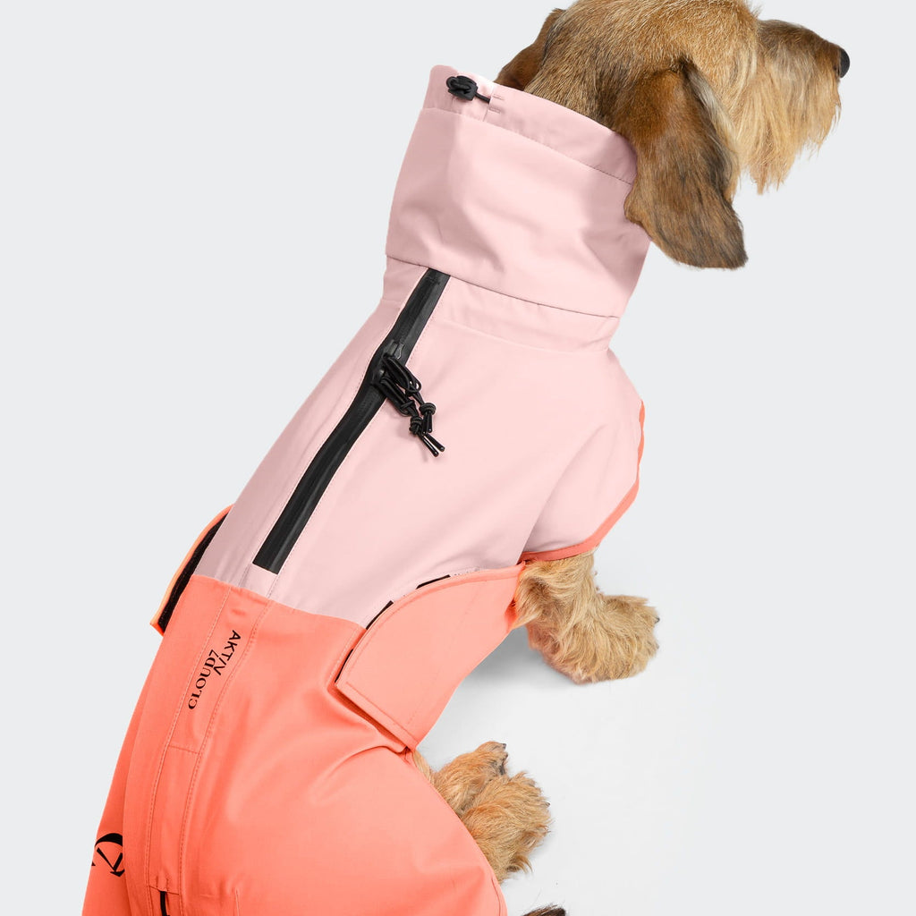 Dachshund Raincoat AKTIV Peach/Neon Pink product image