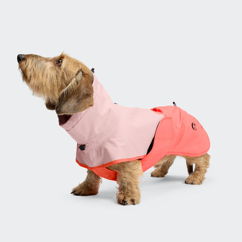 Dachshund Raincoat AKTIV Peach/Neon Pink product image