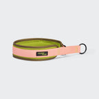 C-1 Martingale Collar Air-Mesh AKTIV Neon Green/Peach product image