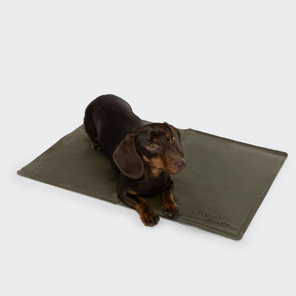 Dog Cooling Mat AKTIV Dark Olive product image