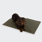 Dog Cooling Mat AKTIV Dark Olive product image