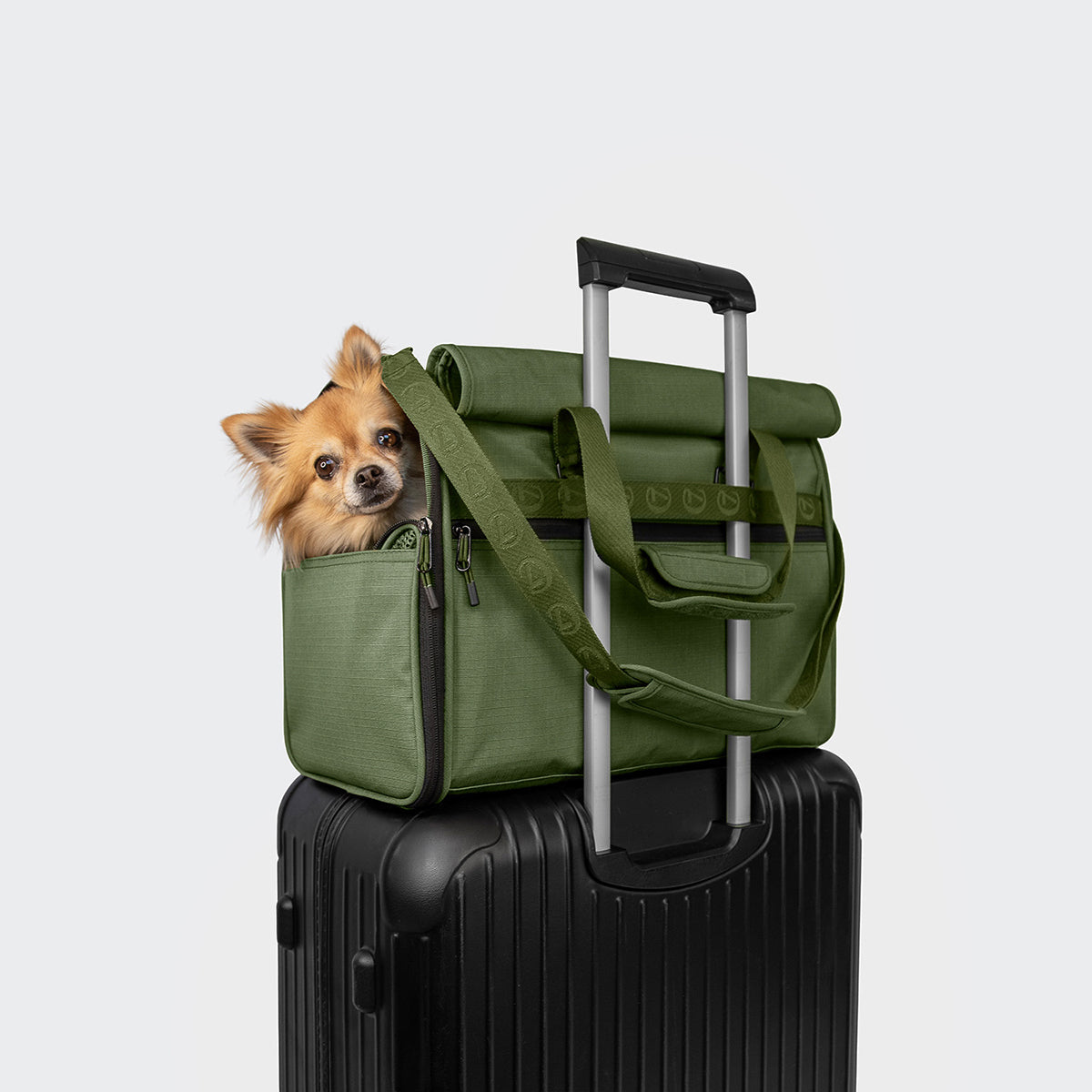 Flight Carrier AKTIV Olive product image